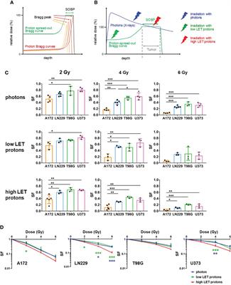 CD9- and CD81-positive extracellular vesicles provide a marker to monitor glioblastoma cell response to photon-based and proton-based radiotherapy